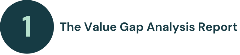 The Value Gap Analysis Report - TITLE